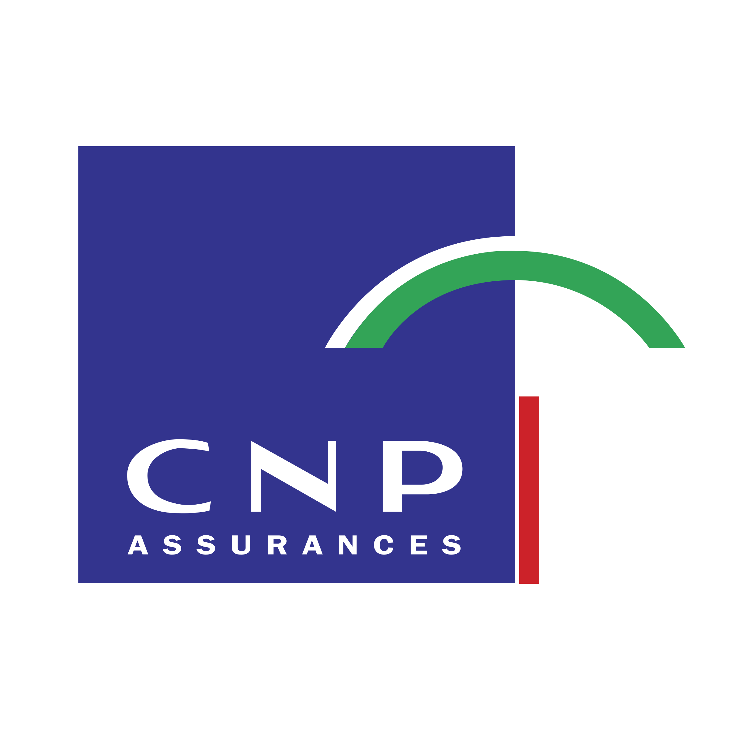 Logo CNP